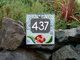 "437" On Rocks